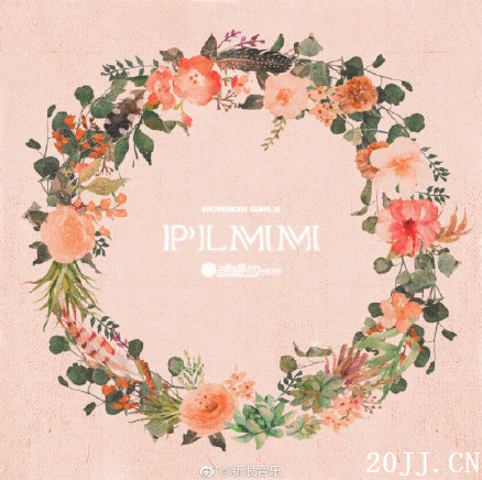 ӲŮ֧PLMM PLMMϢ